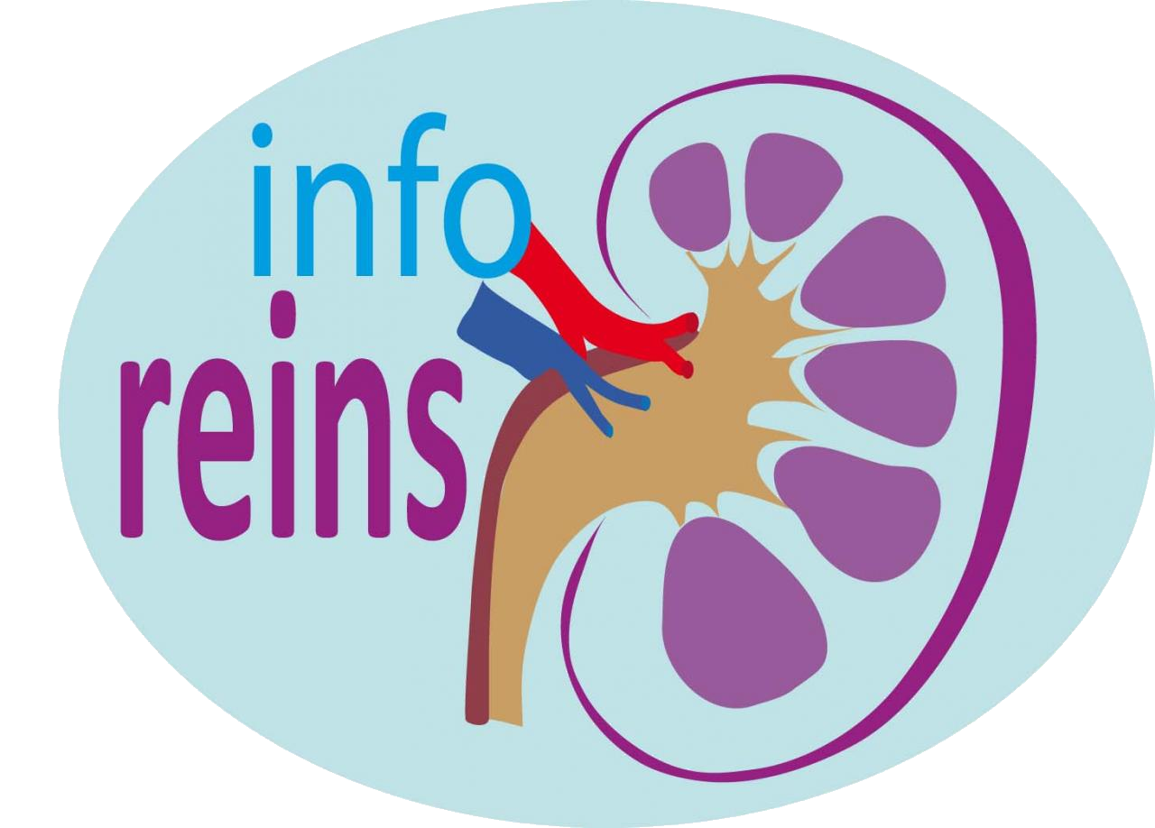Informations sur les reins